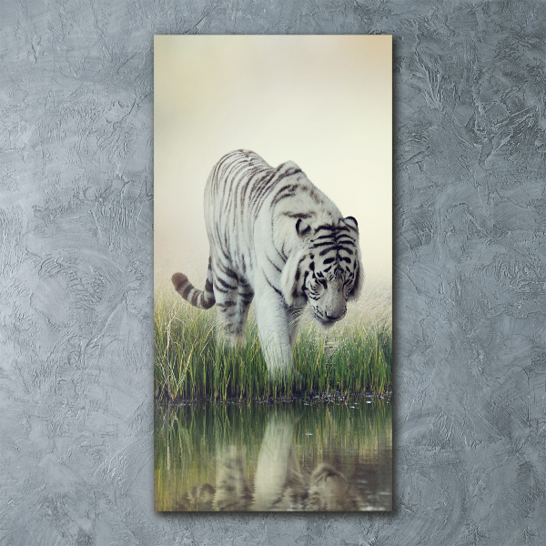 Print on acrylic White Tiger