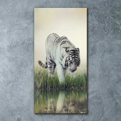 Print on acrylic White Tiger