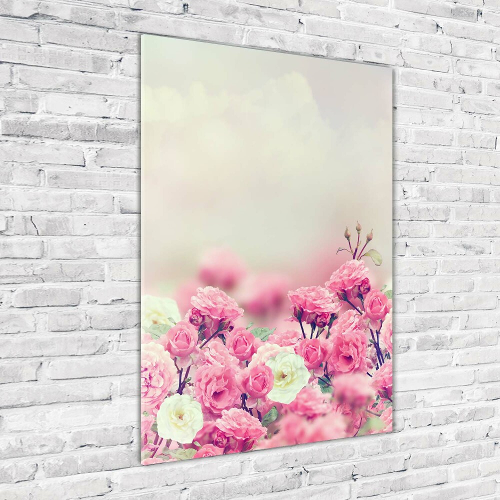 Acrylic print Wild Rose