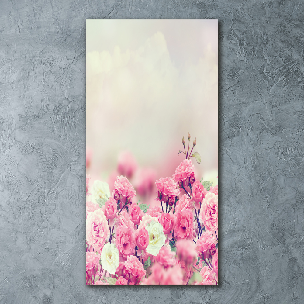 Acrylic print Wild Rose