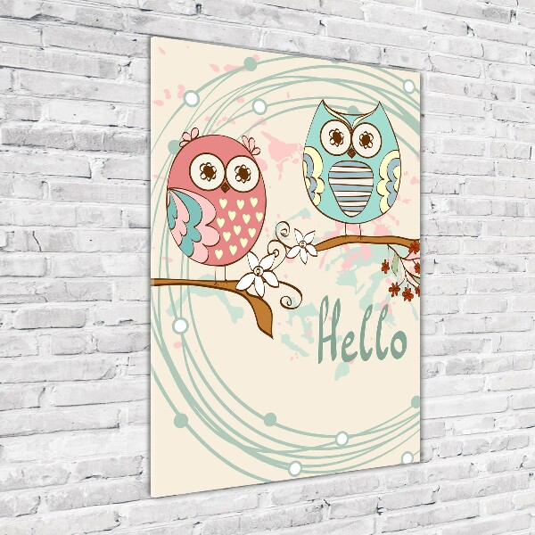 Print on acrylic Owls