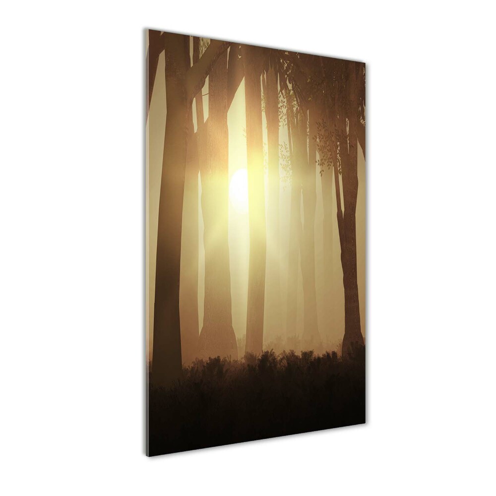 Acrylic print Fog in the forest