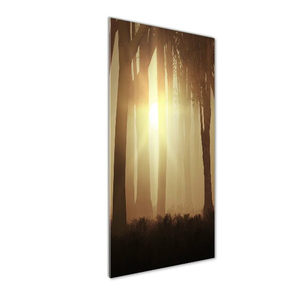 Acrylic print Fog in the forest