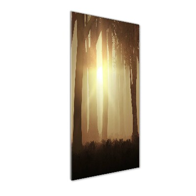 Acrylic print Fog in the forest