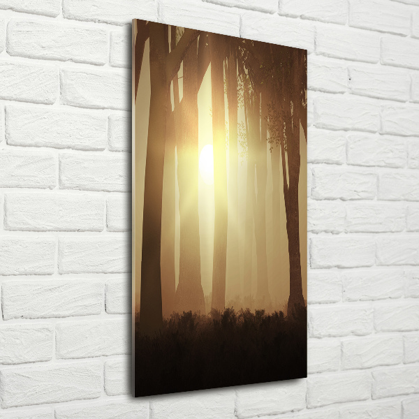 Acrylic print Fog in the forest