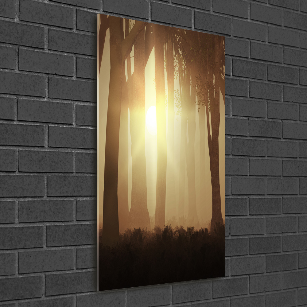 Acrylic print Fog in the forest