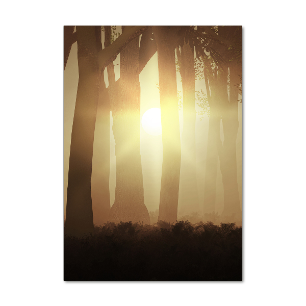 Acrylic print Fog in the forest