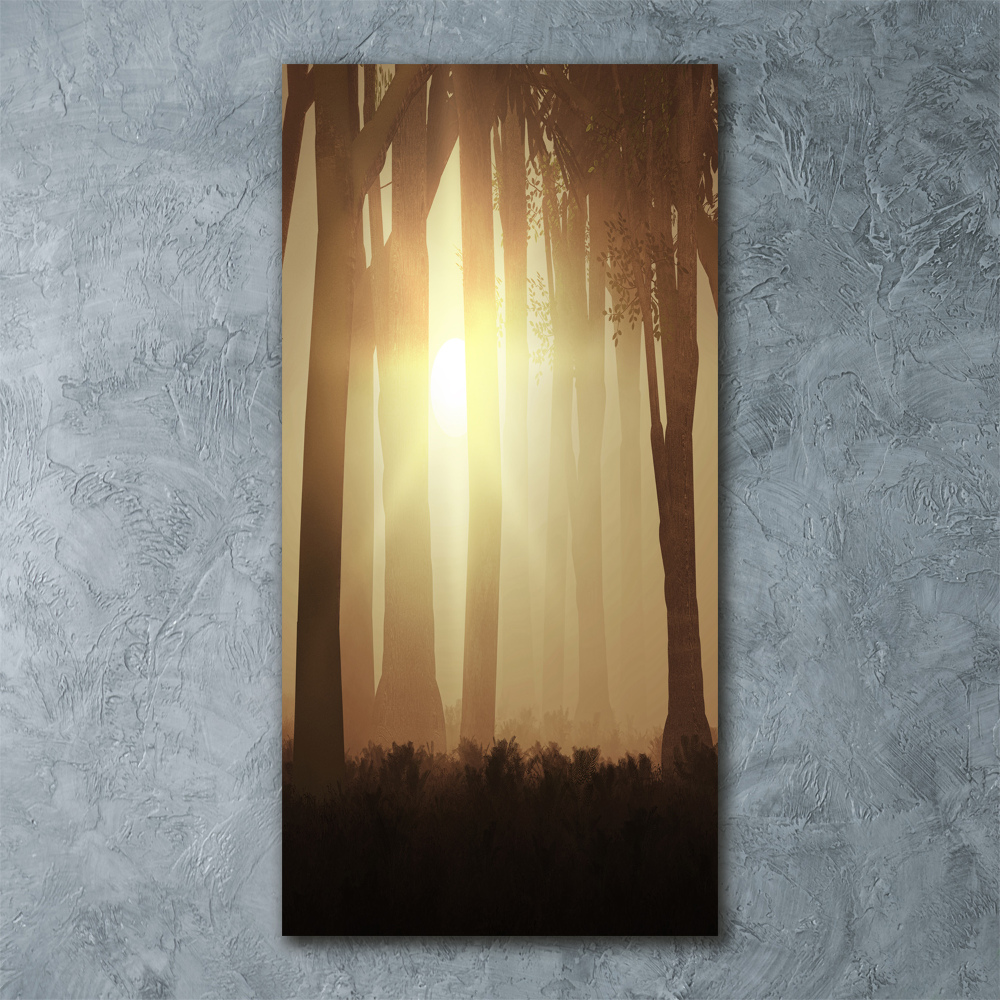 Acrylic print Fog in the forest