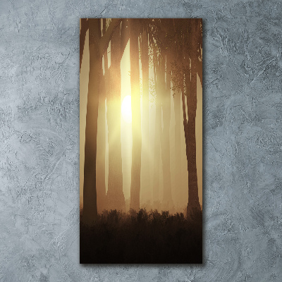 Acrylic print Fog in the forest