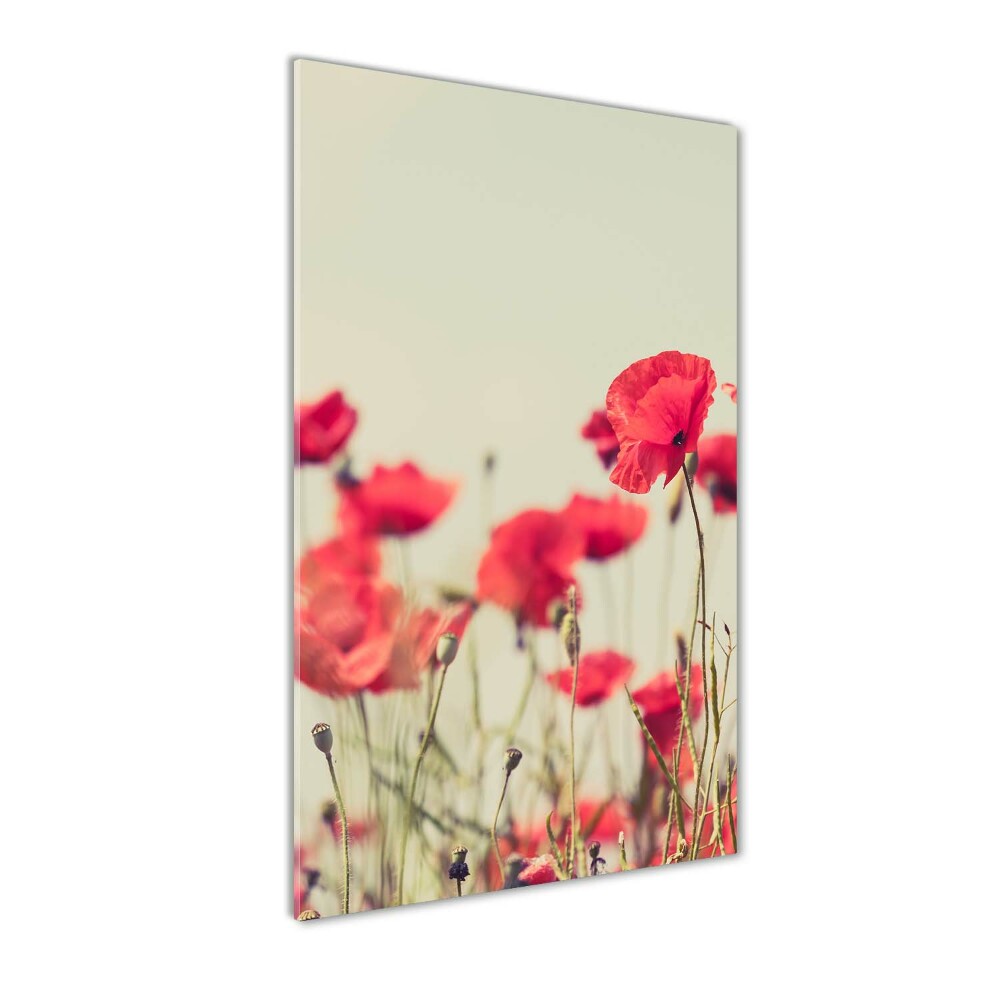 Print on acrylic glass Field poppies