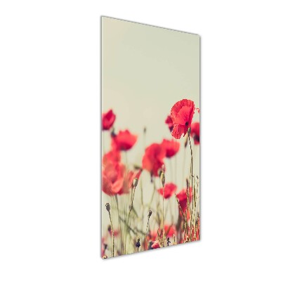 Print on acrylic glass Field poppies