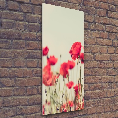 Print on acrylic glass Field poppies