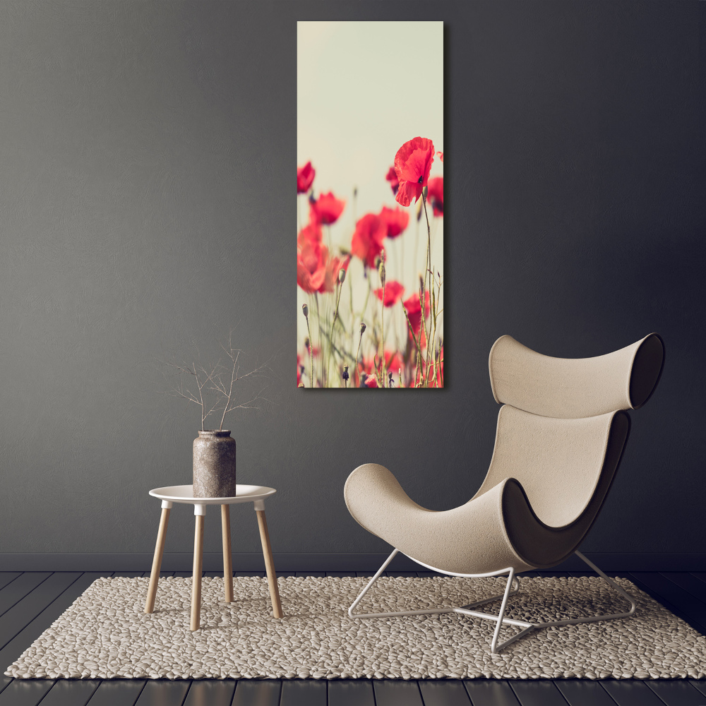 Print on acrylic glass Field poppies