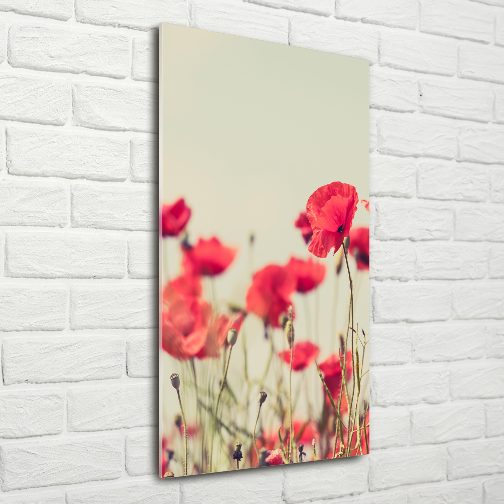 Print on acrylic glass Field poppies