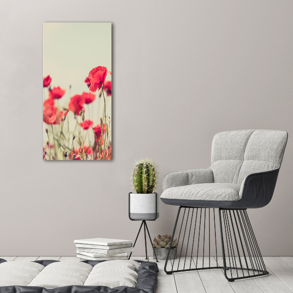 Print on acrylic glass Field poppies