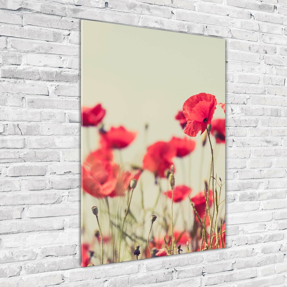 Print on acrylic glass Field poppies