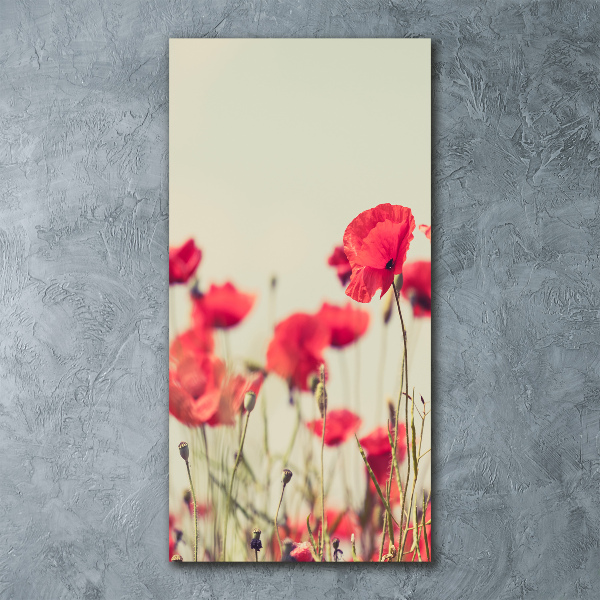 Print on acrylic glass Field poppies