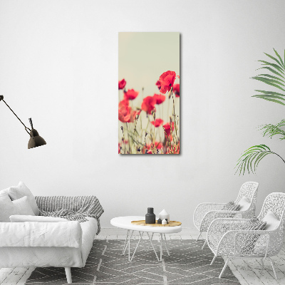 Print on acrylic glass Field poppies