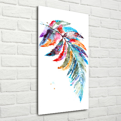 Print on acrylic Colorful fern