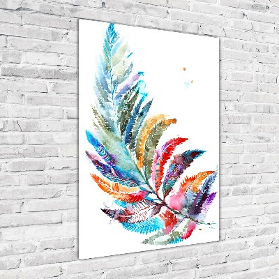 Print on acrylic Colorful fern