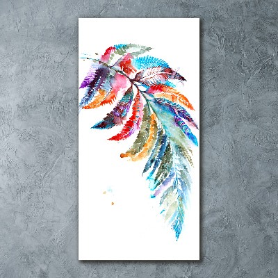 Print on acrylic Colorful fern