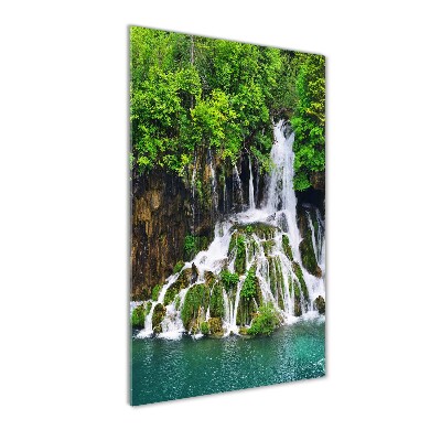 Acrylic print Waterfall in the forest