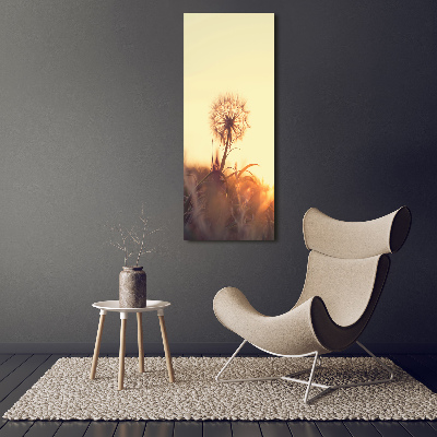 Print on acrylic Dandelion