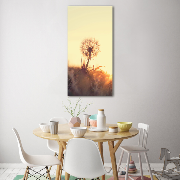 Print on acrylic Dandelion