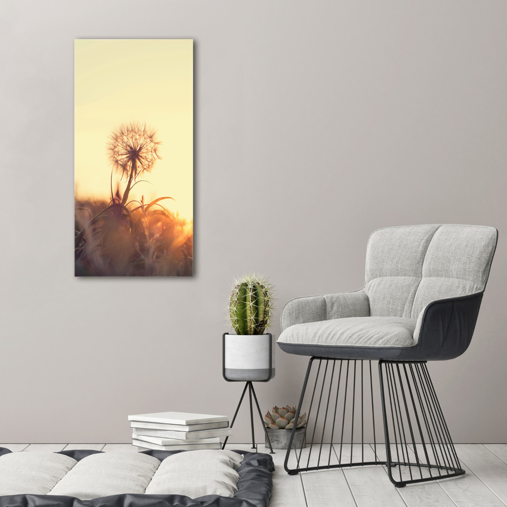 Print on acrylic Dandelion