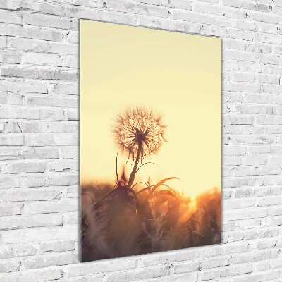 Print on acrylic Dandelion