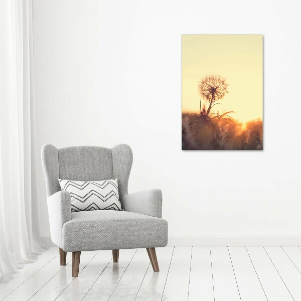 Print on acrylic Dandelion