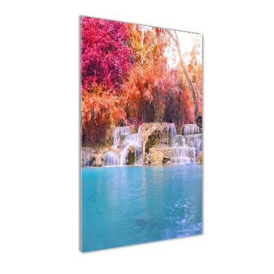 Acrylic print Waterfall in the forest