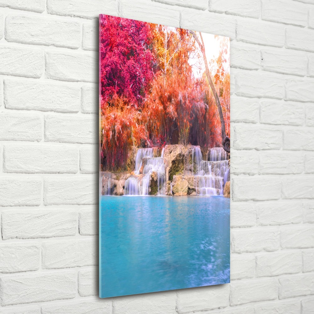 Acrylic print Waterfall in the forest