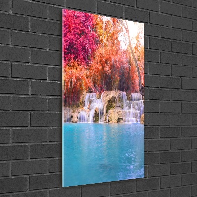 Acrylic print Waterfall in the forest