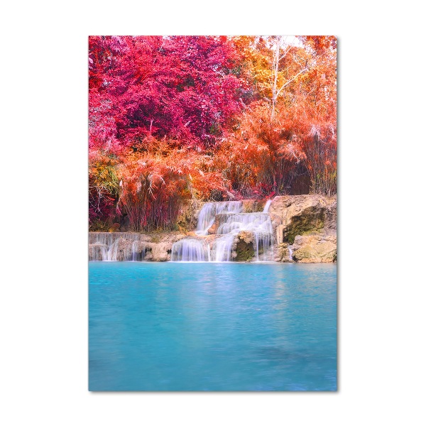 Acrylic print Waterfall in the forest