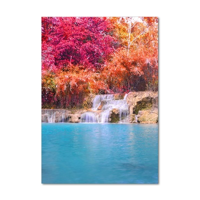 Acrylic print Waterfall in the forest