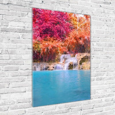 Acrylic print Waterfall in the forest