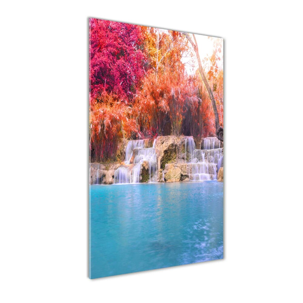 Acrylic print Waterfall in the forest