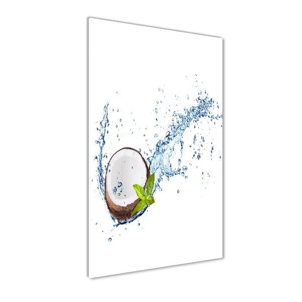 Acrylic wall art Coconut