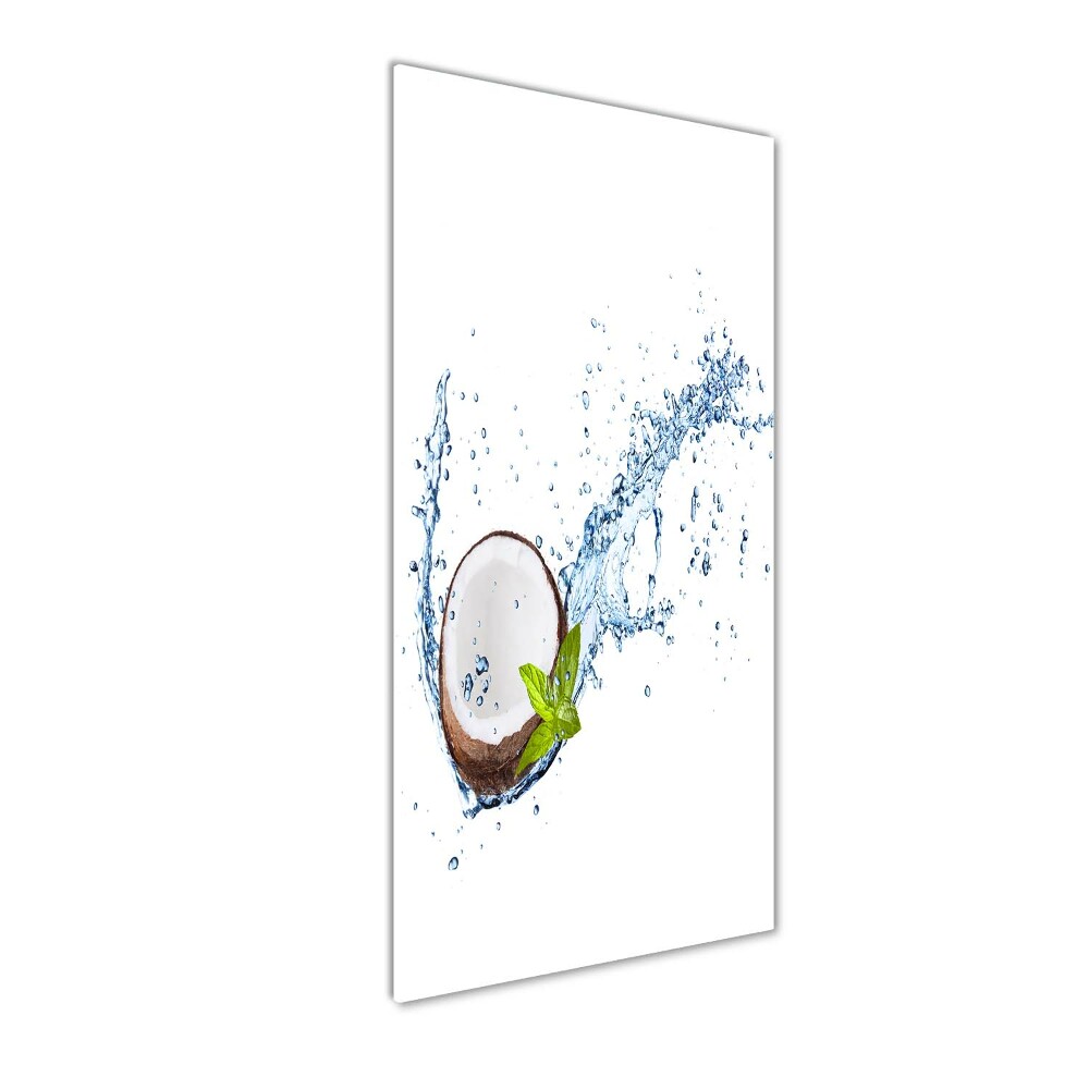 Acrylic wall art Coconut