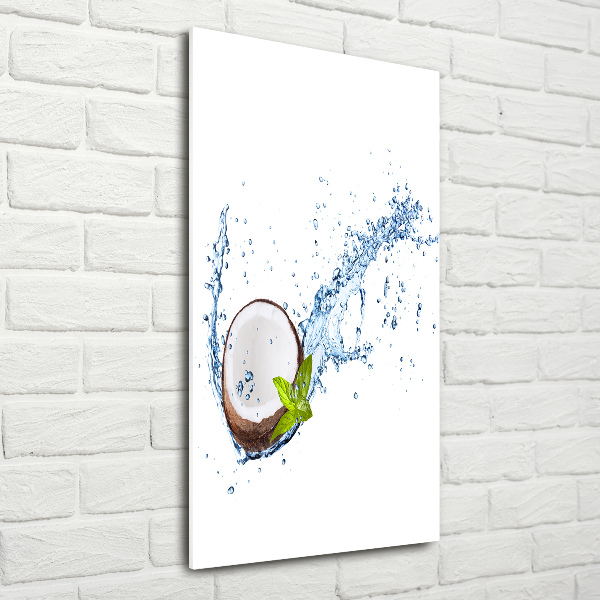 Acrylic wall art Coconut