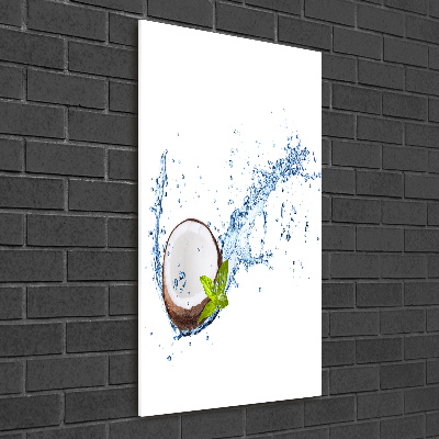 Acrylic wall art Coconut