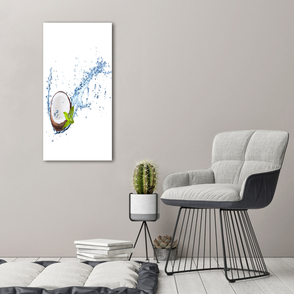 Acrylic wall art Coconut