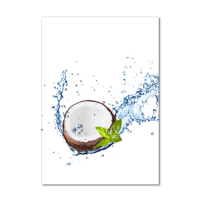 Acrylic wall art Coconut