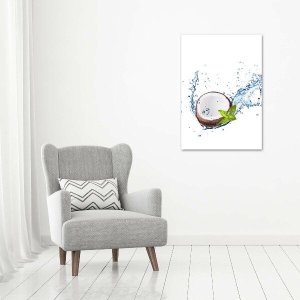 Acrylic wall art Coconut