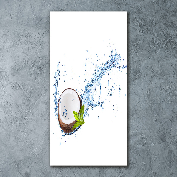 Acrylic wall art Coconut