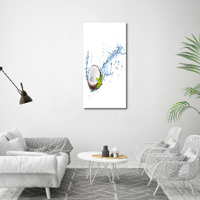 Acrylic wall art Coconut