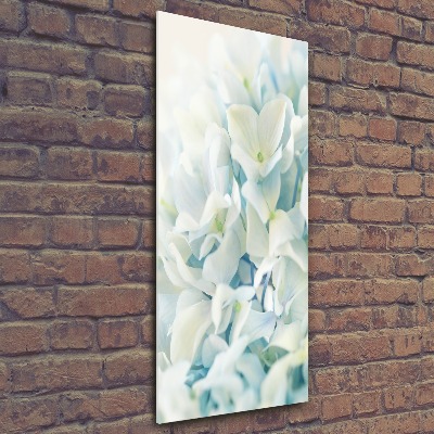 Acrylic print Hydrangea flower