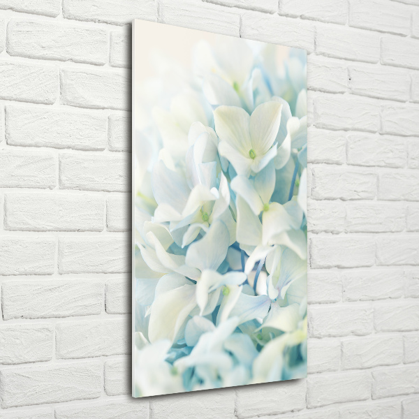 Acrylic print Hydrangea flower