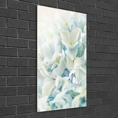 Acrylic print Hydrangea flower